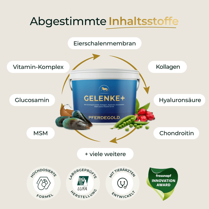 Gelenke+ 2.0