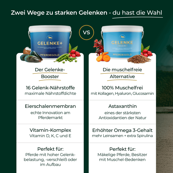 Gelenke+ 2.0