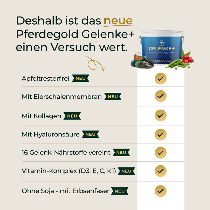 Gelenke+ 2.0