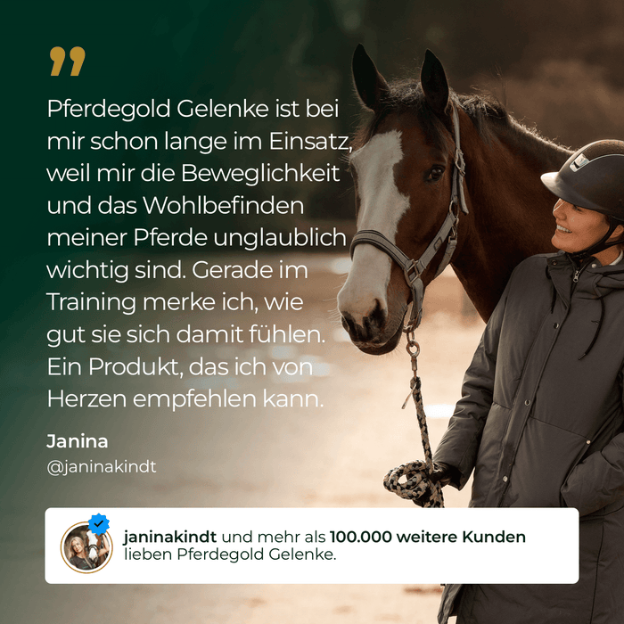 Gelenke+ 2.0