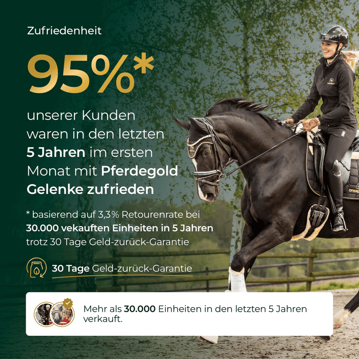 Gelenke+ 2.0
