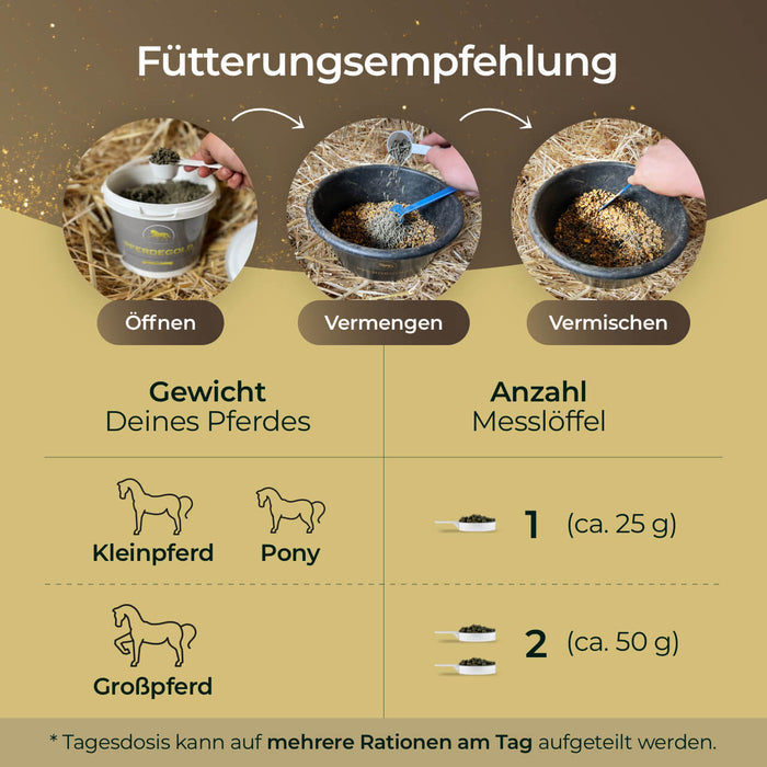 Haut & Fell