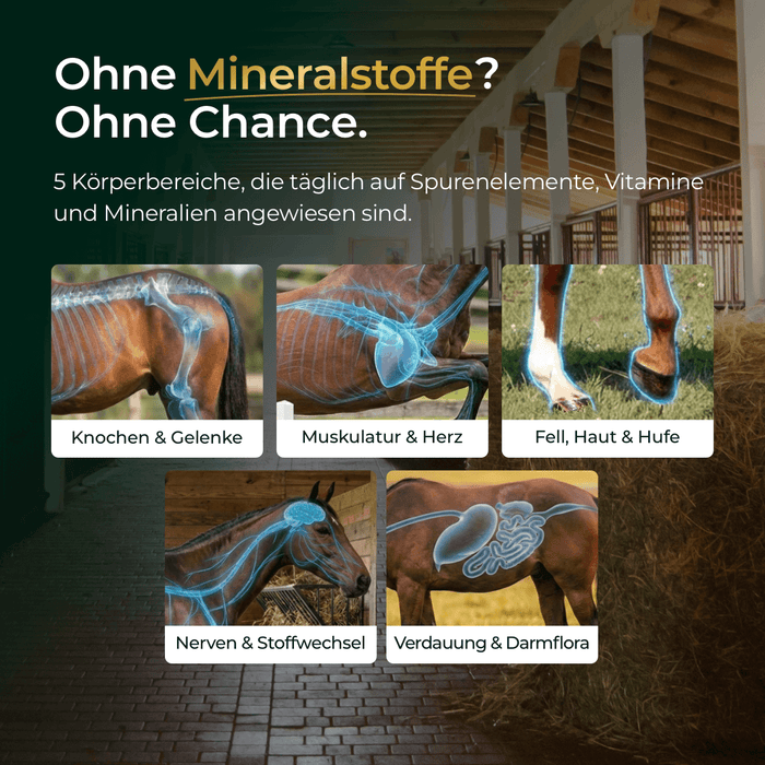Mineral