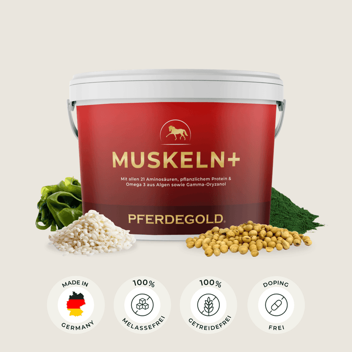 Muskeln+ 2.0