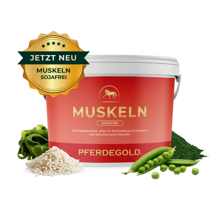 Muskeln 2.0 Sojafrei