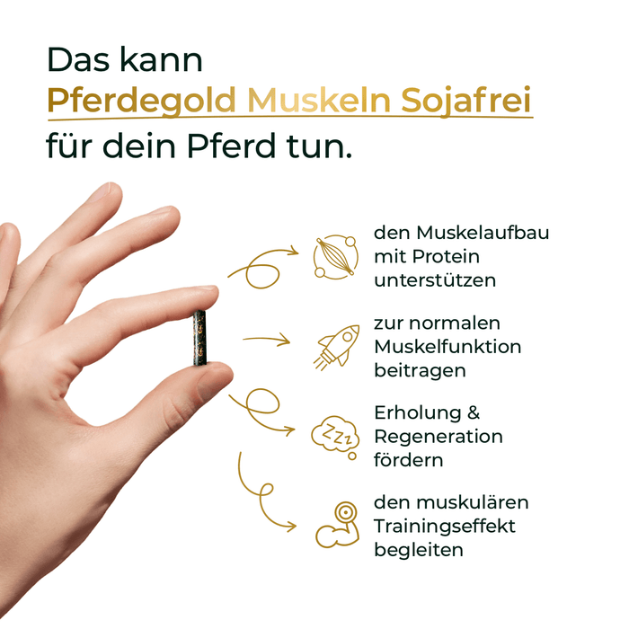 Muskeln 2.0 Sojafrei