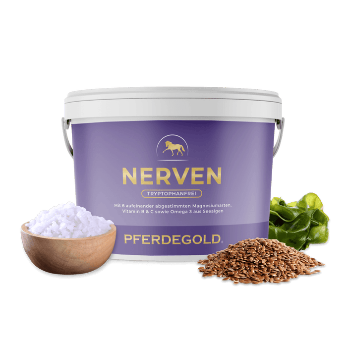Nerven 2.0