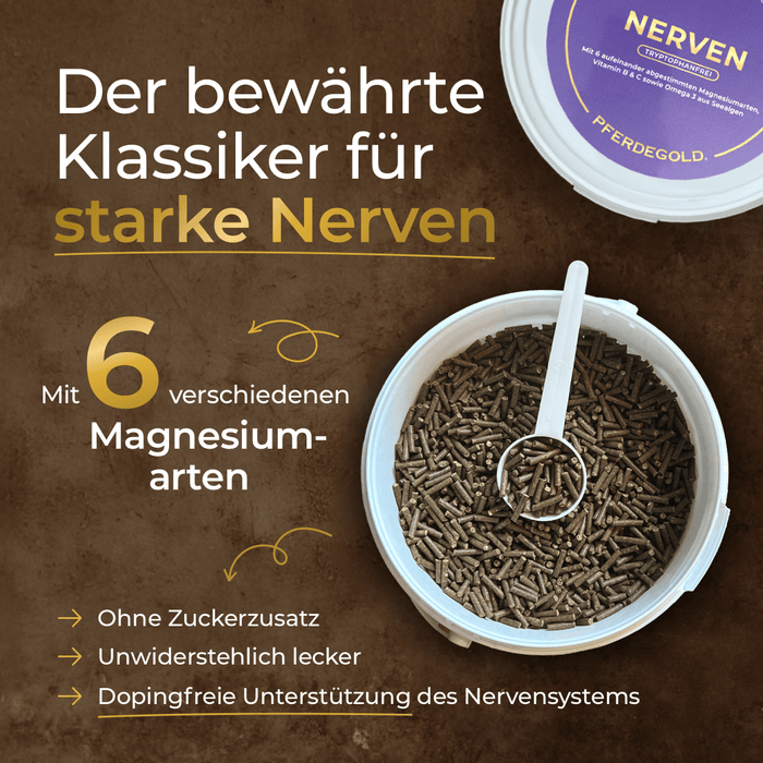 Nerven 2.0