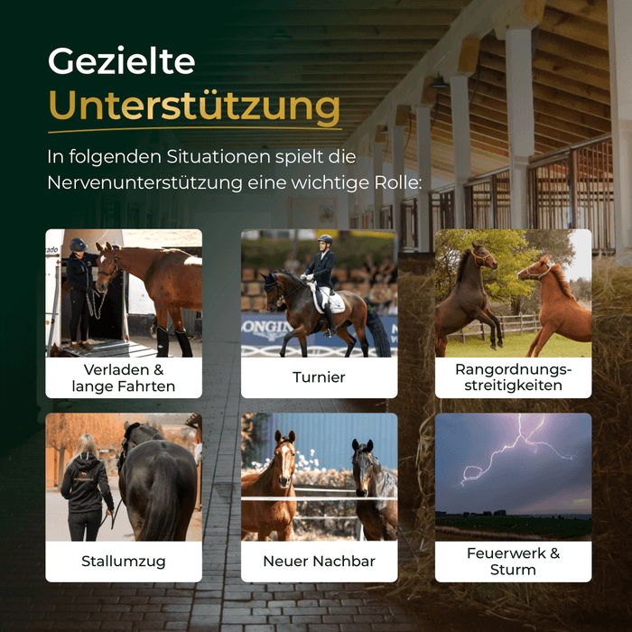 Nerven+ mit Tryptophan