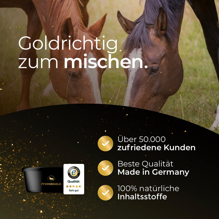 Futterschüssel mit Deckel