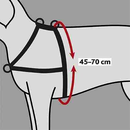 Trainingsgeschirr Lead'n'Walk Soft, schwarz