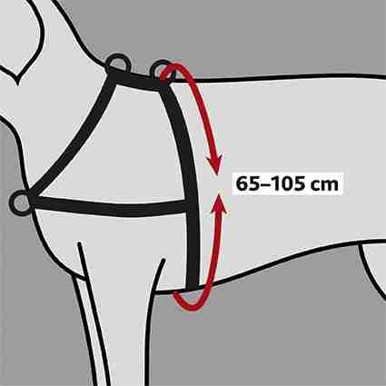 Trainingsgeschirr Lead'n'Walk Soft, schwarz