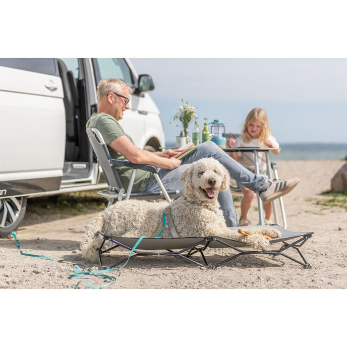 Camping-Bett für Hunde, beige/schwarz