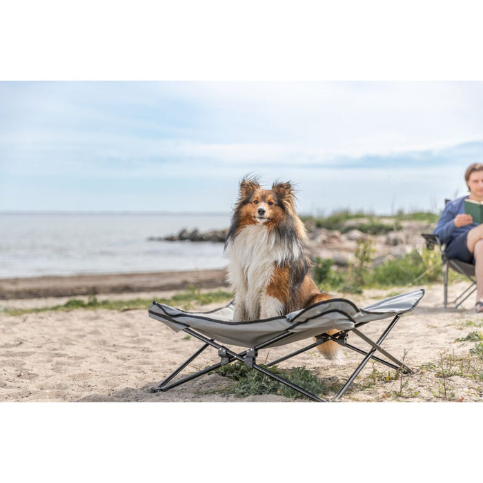 Camping-Bett für Hunde, beige/schwarz