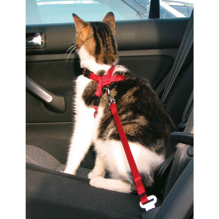 Auto-Katzengeschirr, rot