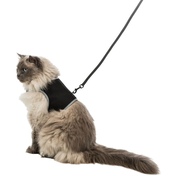 Softgeschirr, Katze, mit Leine XXL, schwarz