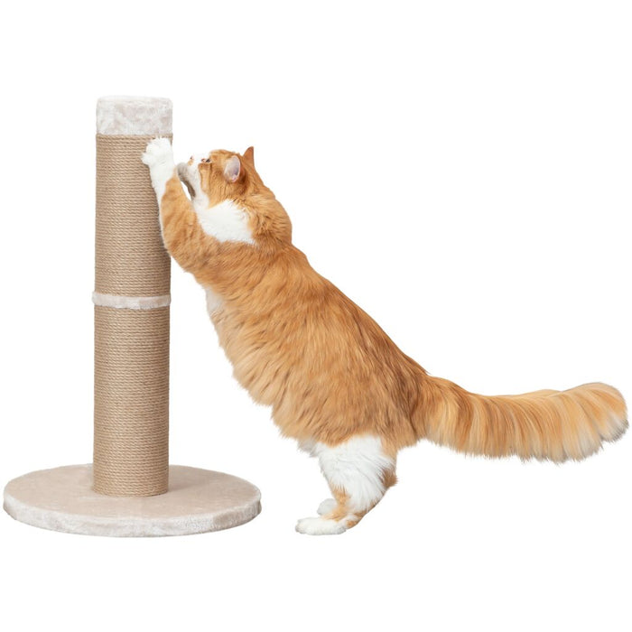 Kratzstamm XXL Rue, beige