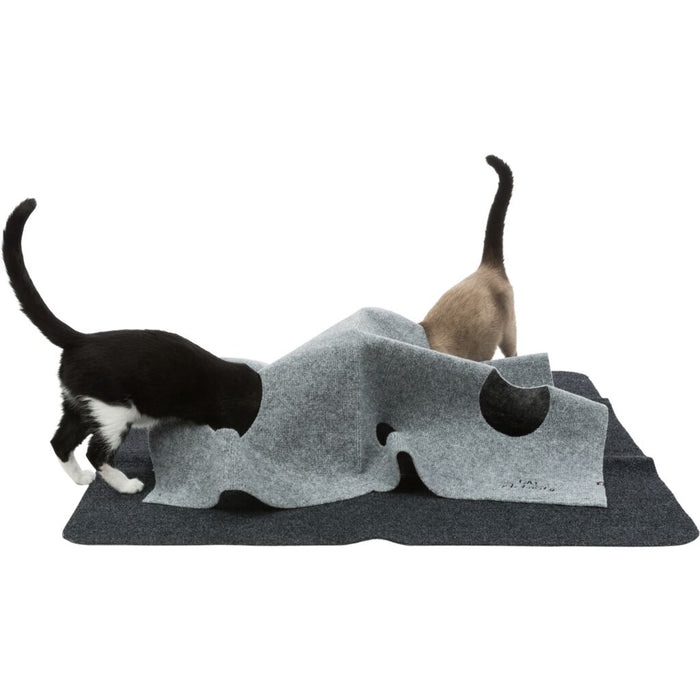 Cat Activity Adventure Carpet, Polyester/TPR