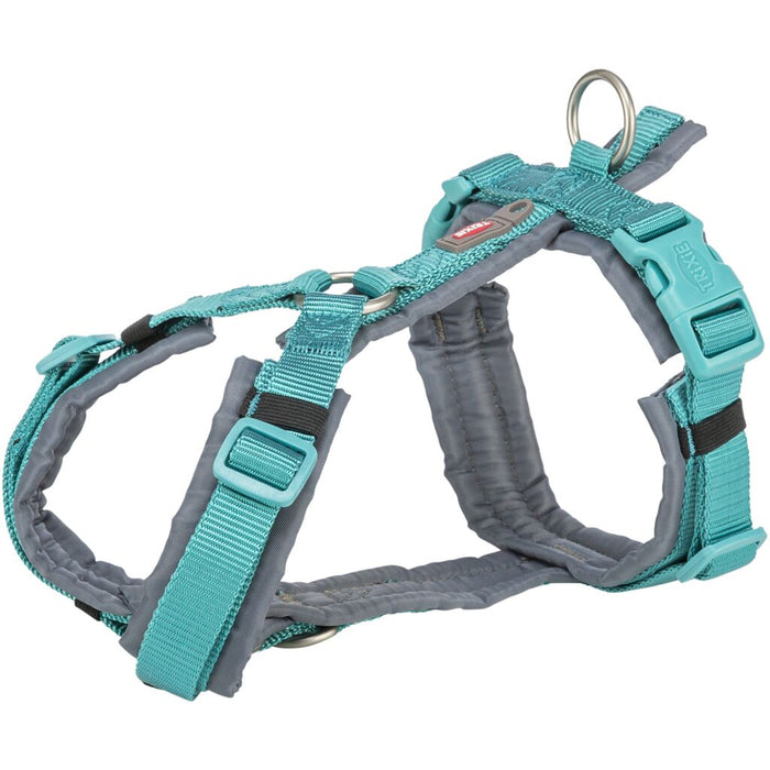 Premium Trekking Geschirr, aqua/grafit