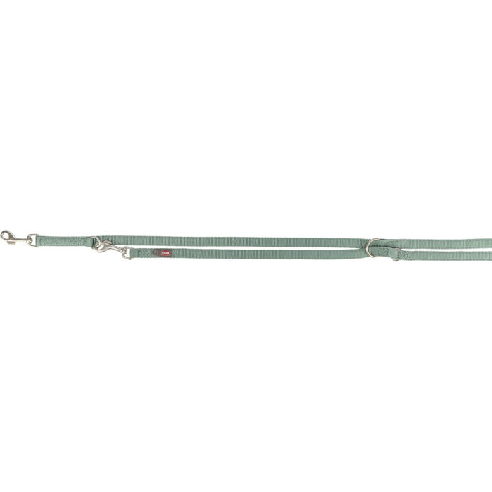 Premium V-Leine, doppellagig, salbei