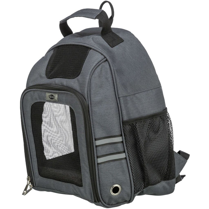 Rucksack Dan, grau