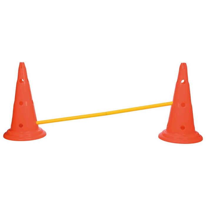 Pylonen-Hindernis-Set, 2 St., orange/gelb