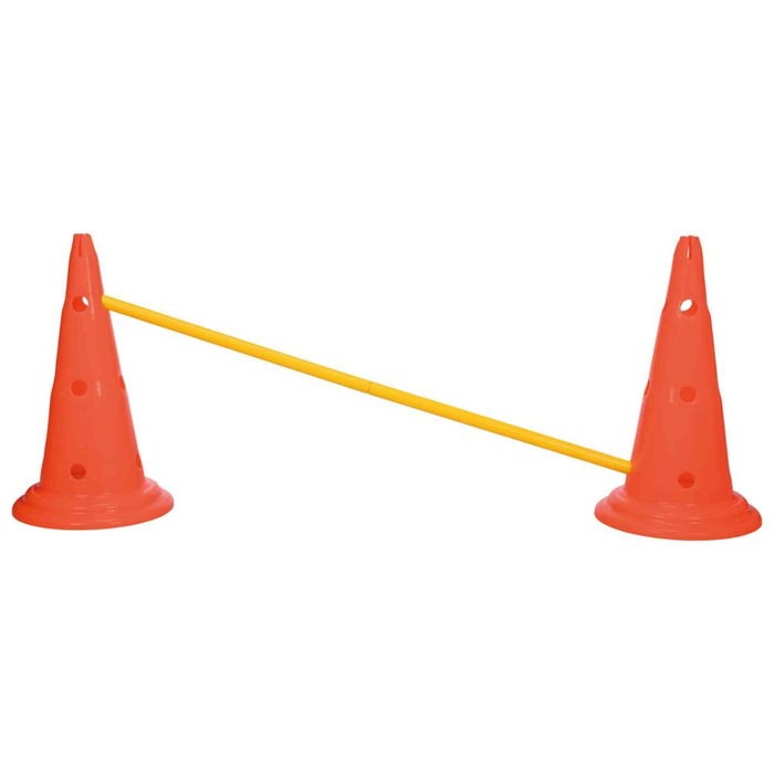 Pylonen-Hindernis-Set, 2 St., orange/gelb