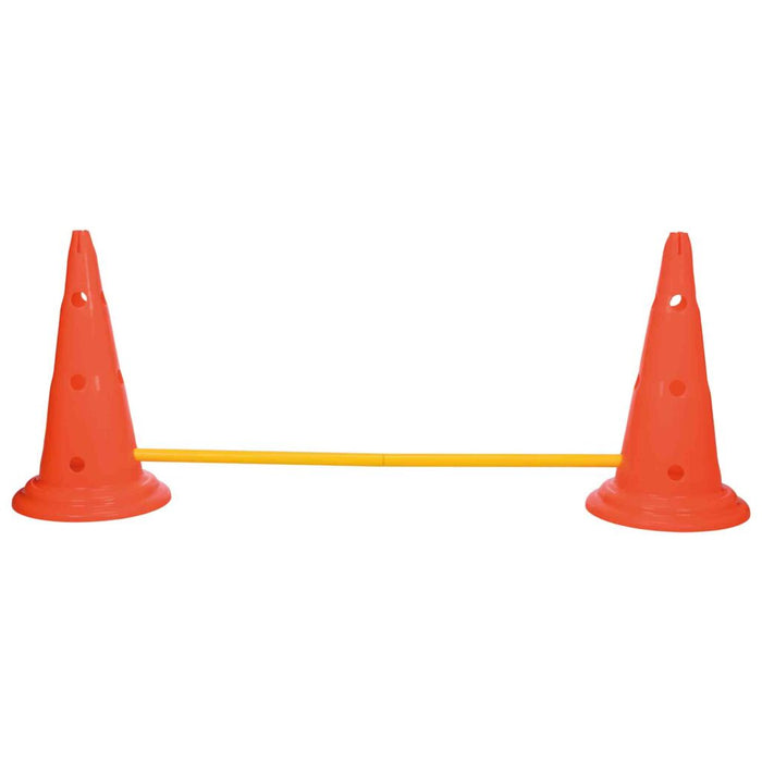 Pylonen-Hindernis-Set, 2 St., orange/gelb