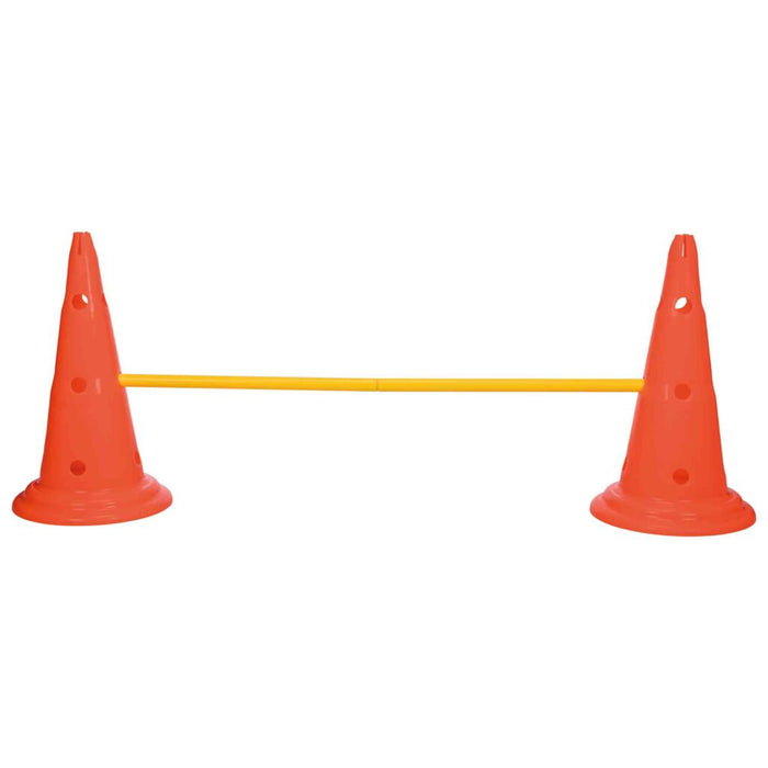 Pylonen-Hindernis-Set, 2 St., orange/gelb