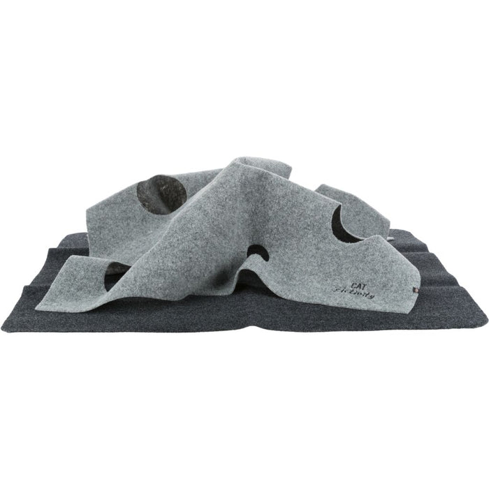 Cat Activity Adventure Carpet, Polyester/TPR