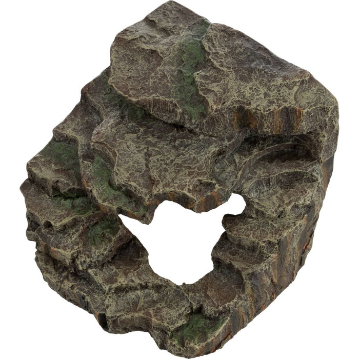 Eck-Fels mit Höhle und Plattform, Regenwald