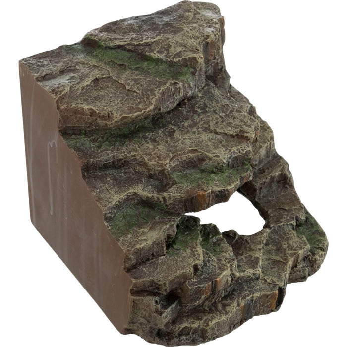 Eck-Fels mit Höhle und Plattform, Regenwald