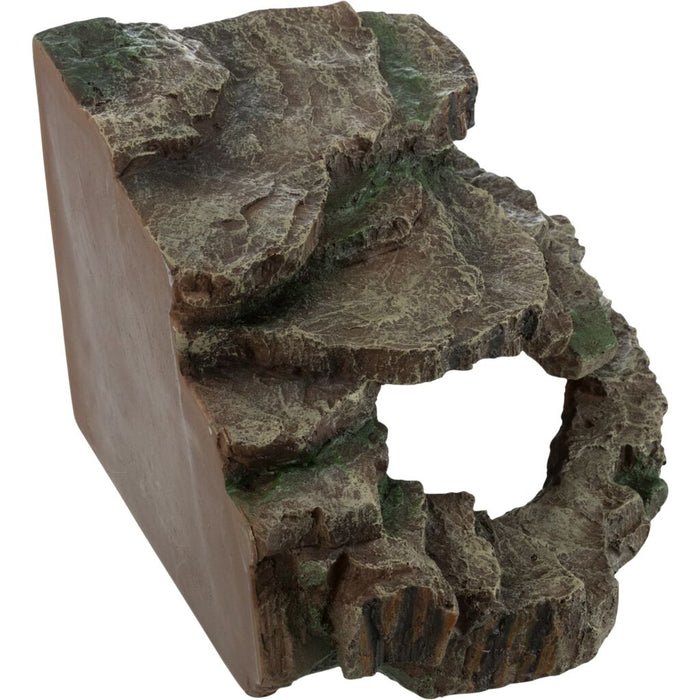 Eck-Fels mit Höhle und Plattform, Regenwald