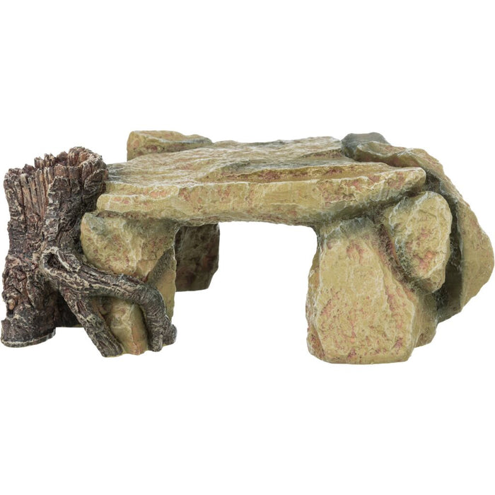 Felsplateau mit Baumstamm