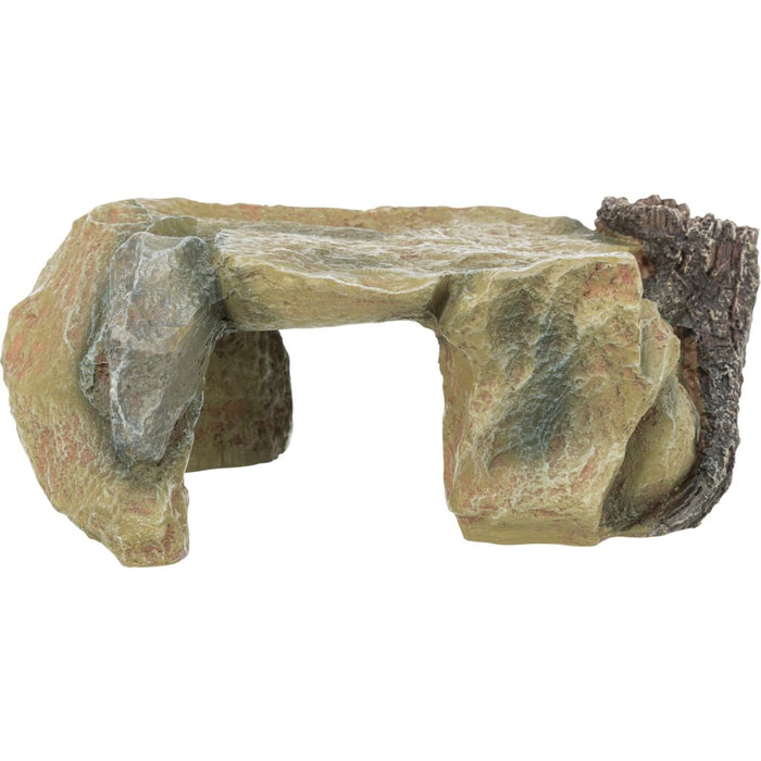 Felsplateau mit Baumstamm