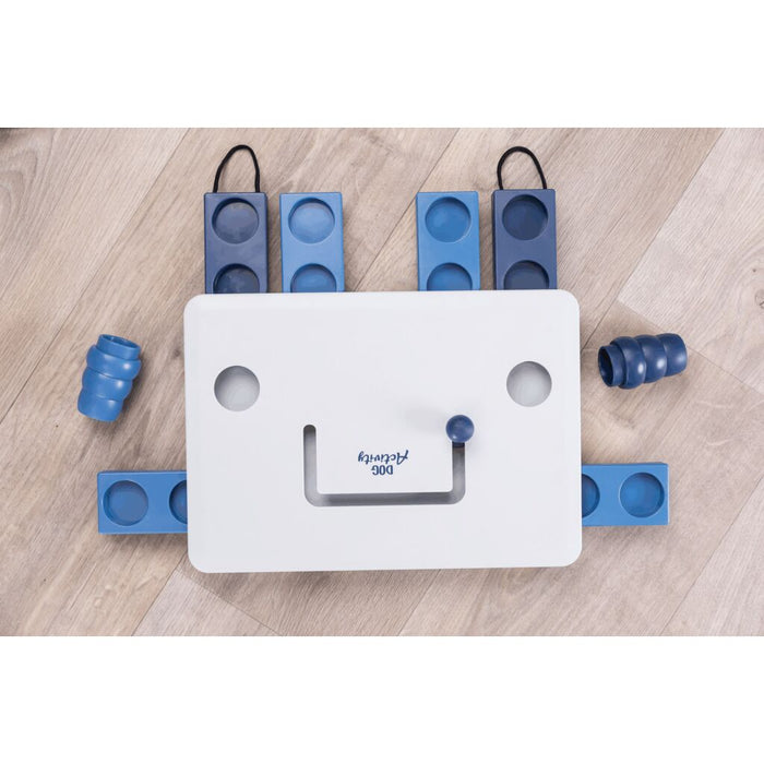 Dog Activity Strategie-Spiel Move2Win