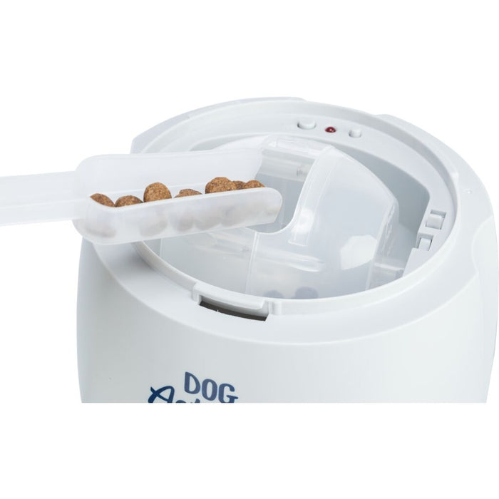 Dog Activity Strategie-Spiel Memory Trainer 3.0