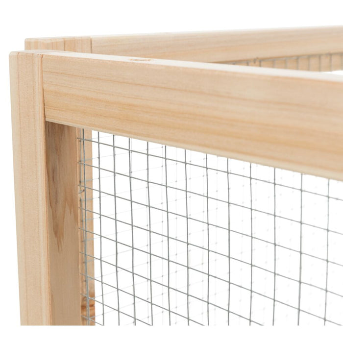 Indoor Freilaufgehege, Zwergkaninchen