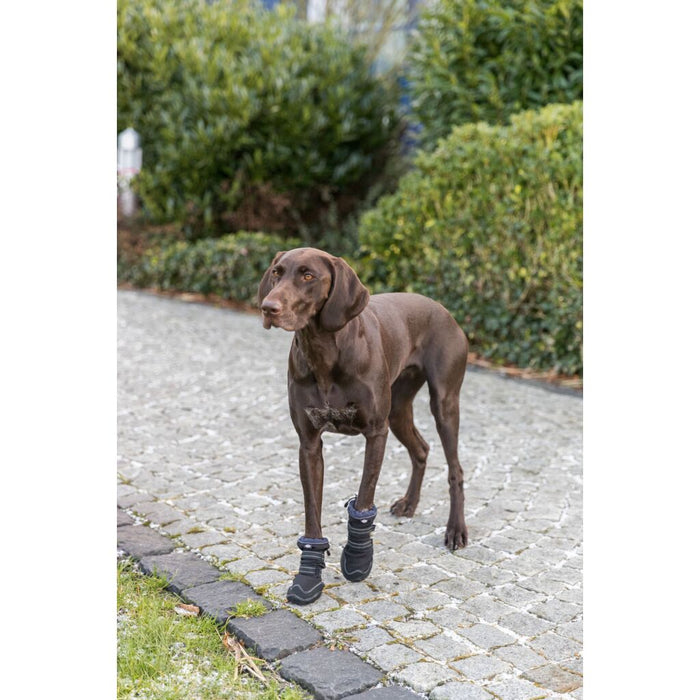 Pfotenschutz Walker Active Long, 2 St., schwarz