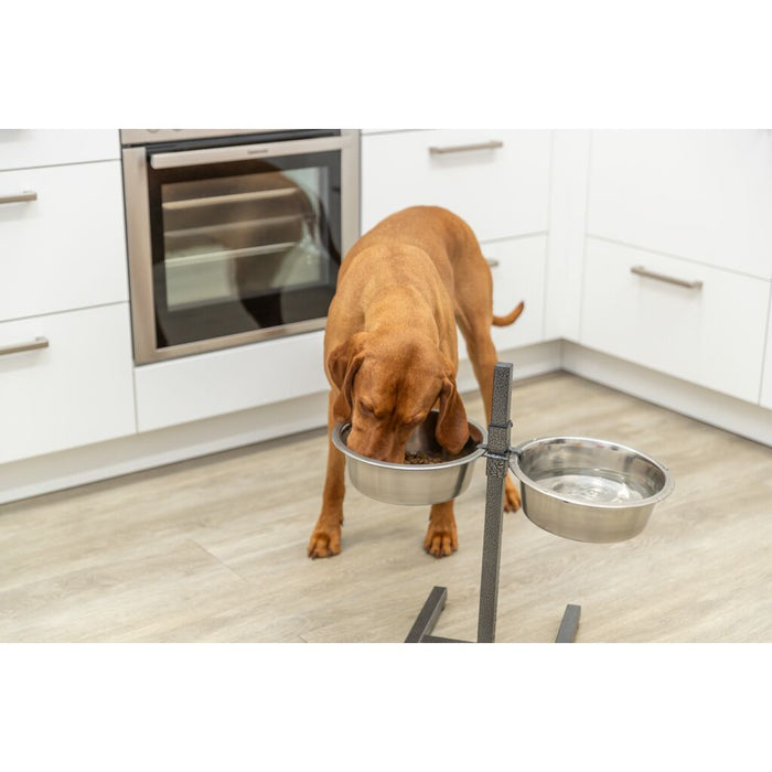 Hundebar, Edelstahl/Metall