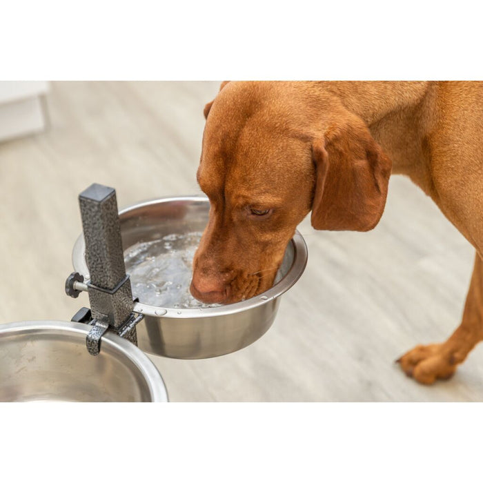 Hundebar, Edelstahl/Metall