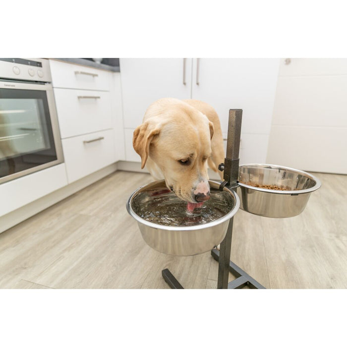 Hundebar, Edelstahl/Metall