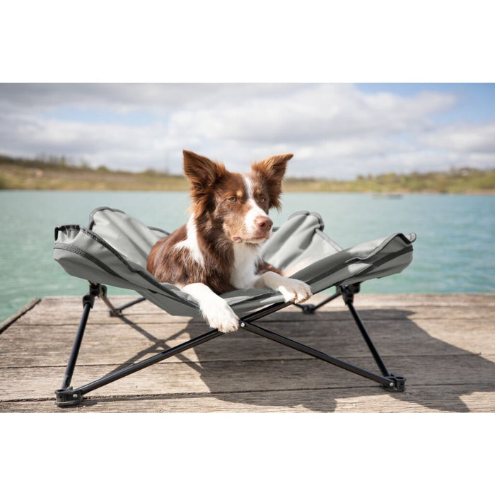 Camping-Bett für Hunde, beige/schwarz