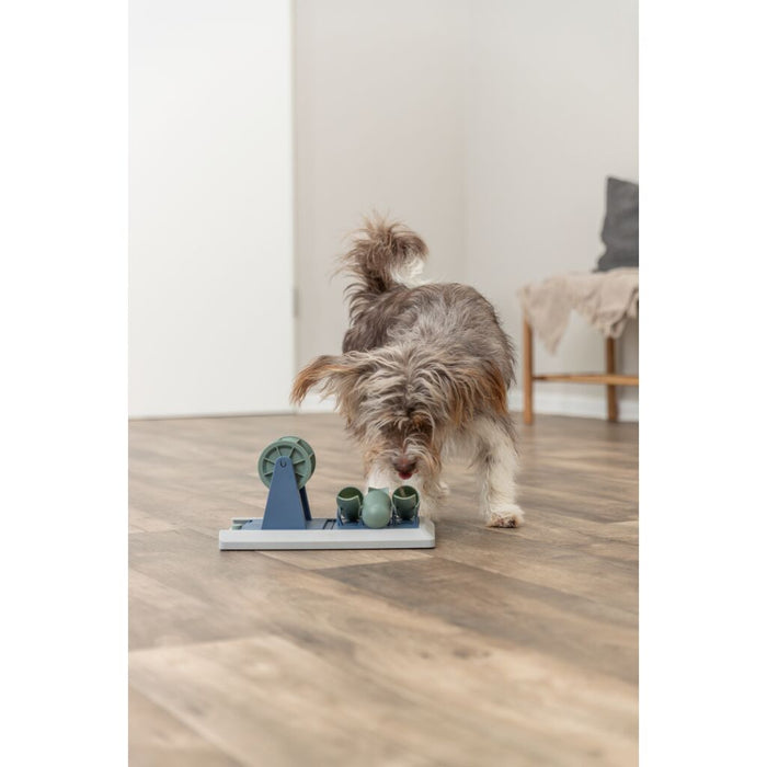 Dog Activity Strategie-Spiel Poker Box Vario 2
