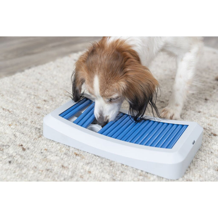 Dog Activity Stäbchenspiel Rod Board, Kunststoff