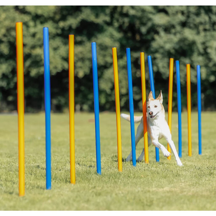 Fun Agility Slalom, Kunststoff, 12 St., blau/orange