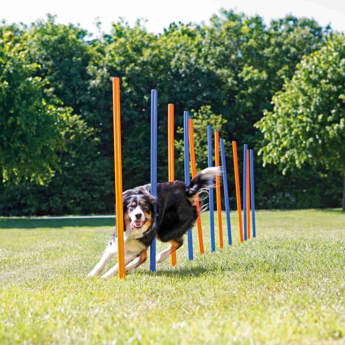 Fun Agility Slalom, Kunststoff, 12 St., blau/orange