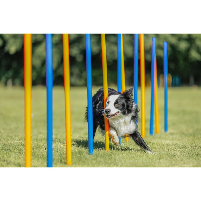 Fun Agility Slalom, Kunststoff, 12 St., blau/orange