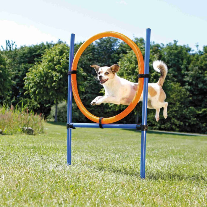 Fun Agility Ring, Kunststoff, blau/orange