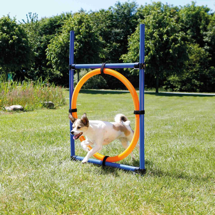 Fun Agility Ring, Kunststoff, blau/orange